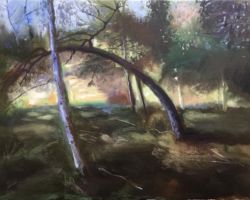 "Bended Tree"
Oil on canvas
Size: 57X40cm
£150